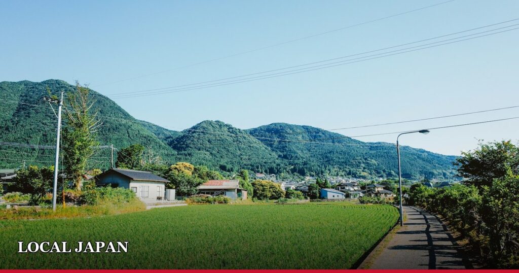 Regional Japan: A Complete Guide to Cities, Countryside, and Local Culture