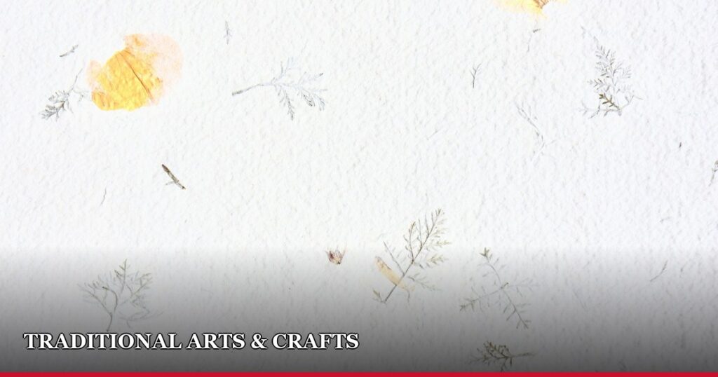 Why Washi Paper Takes Months to Make by Hand