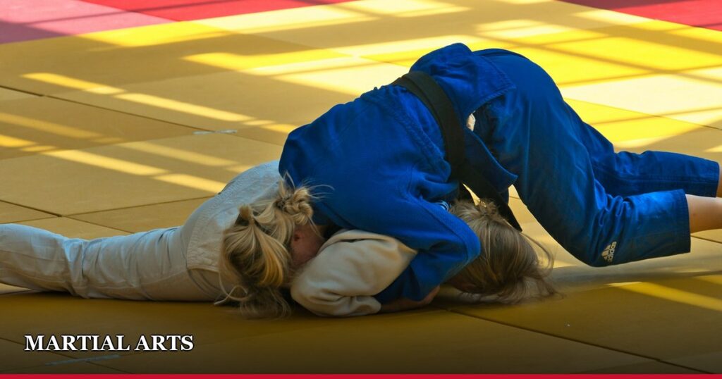 Judo vs Karate vs Aikido: What Actually Separates Japan’s Martial Arts