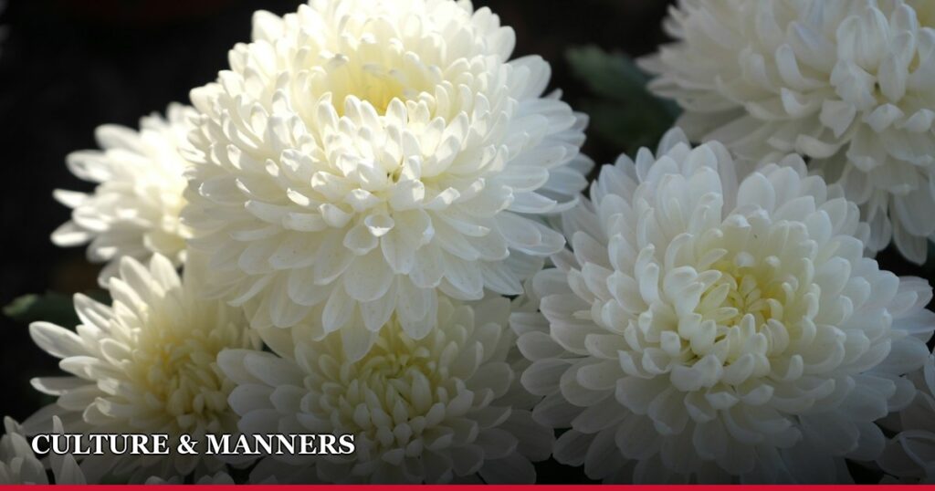 How Much Is Koden? A Guide to Japanese Funeral Gift Etiquette